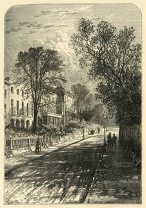 キャンバーウェルグローブ、c1878。 作： Unbekannt