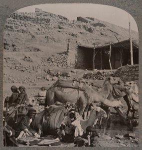 エリシャの噴水で水をまくジェラシュからのラクダ列車、c1900 作： Unbekannt