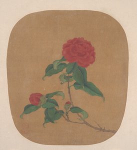 椿の花。