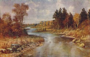 カナダの森の風景、1924 作： Unbekannt