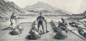Cancha De Beneficiar、または金と銀の融合のモード、c1826、1911 作： Unbekannt