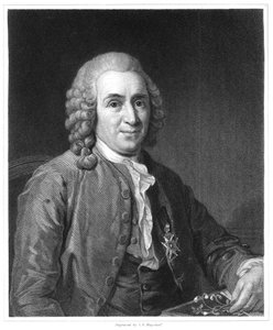 Carolus Linnaeus、18世紀スウェーデンの博物学者、1835年 作： Unbekannt