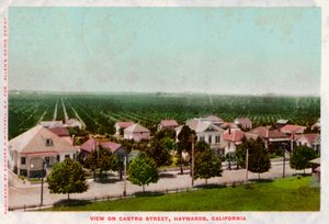 カストロストリート、ヘイワード、カリフォルニア、1905 作： Unbekannt