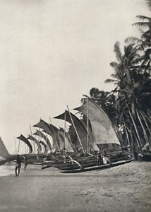 アウトリガー、1926年とセイロン海の漁船 作： Unbekannt