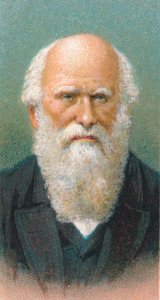 チャールズダーウィン1809-1882、イギリスの博物学者、1924年 作： Unbekannt