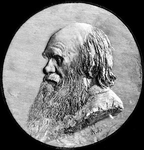 チャールズダーウィン、1882年 作： Unbekannt