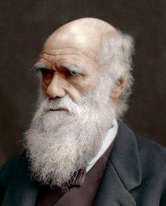 チャールズダーウィン、イギリスの博物学者、1878年