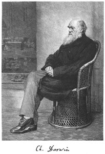 チャールズダーウィン、イギリスの博物学者、1883年 作： Unbekannt