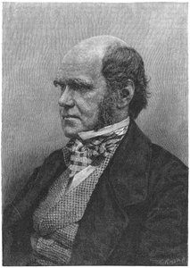 チャールズダーウィン、イギリスの博物学者、1884年 作： Unbekannt