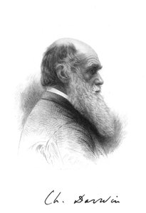 チャールズダーウィン、イギリスの博物学者、c1880 作： Unbekannt