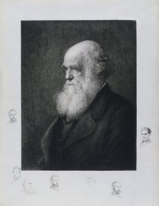 チャールズ・ダーウィン（イギリスの博物学者） 1860年代頃 作： Unbekannt