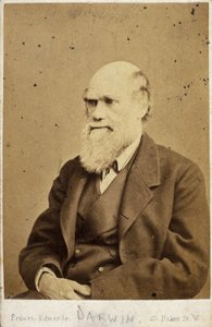 チャールズ・ダーウィン（イギリスの博物学者） 1870年代頃 作： Unbekannt