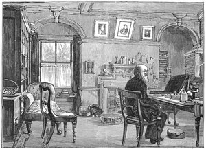 チャールズダーウィン、イギリスの博物学者、彼の研究、c1870 1887 作： Unbekannt