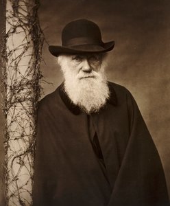 ケント州ダウンハウスの自宅でのチャールズ・ダーウィン、1880年頃 作： Unbekannt