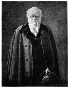 チャールズダーウィン、有名な博物学者、思想家、1900年 作： Unbekannt