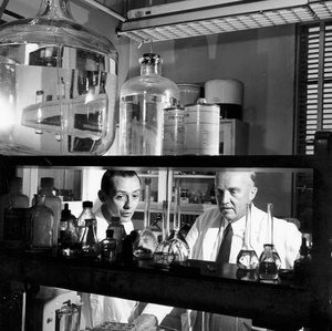 Charles Herbert Best、カナダの生理学者、1960年 作： Unbekannt