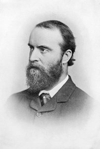 チャールズスチュアートパーネル、19世紀のアイルランド政治家、c1874-1891 作： Unbekannt
