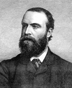 チャールズスチュアートパーネル、19世紀のアイルランド政治家、c1874-1891 作： Unbekannt