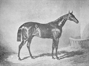 チャールズXII、聖レジェ1839、1911年の勝者 作： Unbekannt