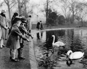 ロンドンの蛇紋岩で白鳥に餌をやる子供たち、1926年〜1927年 作： Unbekannt