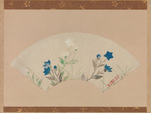 中国桔梗。 作： Unbekannt