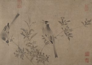 開花チェリーアップルのヒヨドリ。 作： Unbekannt