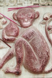 中国の占星術のサイン中国・北京の白雲寺