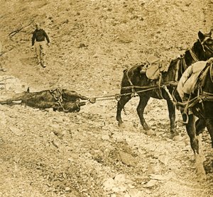 戦場をクリアする、c1914-c1918