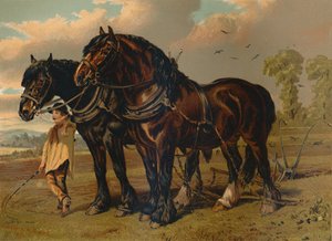 クライズデールスタリオン＆マーレ、c1879。 作： Unbekannt