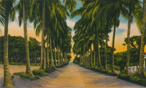 ココナッツアベニュー、バランキージャ、c1940年代、