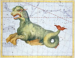 クジラの星座、1729年 作： Unbekannt