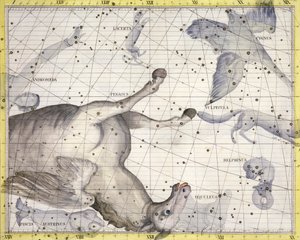ペガサスの星座、1729年 作： Unbekannt