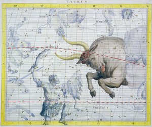 おうし座の星座、1729年 作： Unbekannt