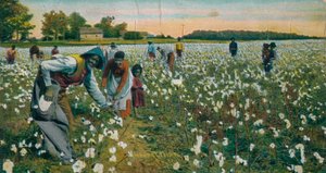綿摘み、オーガスタ、ジョージア州、c1900 作： Unbekannt
