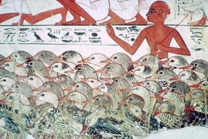 ガチョウを数える：ネバメンの墓、テーベ、エジプト、紀元前1350年頃の壁画の断片