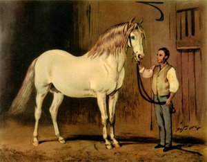 「ビクトリア女王のスタッドのクリーム ステート キャリッジ ホース」、c1875、1944 年。 作： Unbekannt