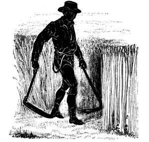 輪作：Hainault Scythe、1855年 作： Unbekannt