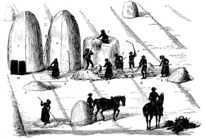 輪作：1855年の種のためのライ麦草の脱穀 作： Unbekannt