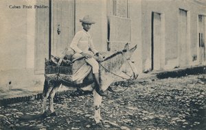 キューバの果物行商人、c1908