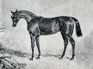 19世紀のキプロス、1911年 作： Unbekannt