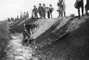 Dカンパニー、1918年バグダッド近郊での15のRWR作業部会