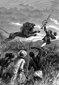 ライオンに告発されたスコットランドの宣教師でアフリカの探検家、デビッドリビングストンc1860 作： Unbekannt