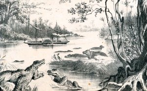 アフリカ、ザンベジをナビゲートするデイヴィッドリビングストーン、1852年から1864年、c1878 作： Unbekannt