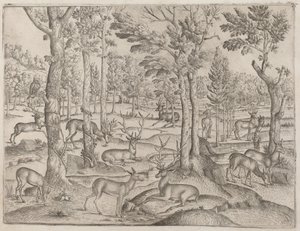 森の鹿、c。 1520年。 作： Unbekannt