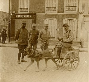 ドッグカート、フランス、c1914-c1918 作： Unbekannt