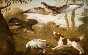 獲物の鳥から死んだアヒルを守る犬、1700-1800。 作： Unbekannt