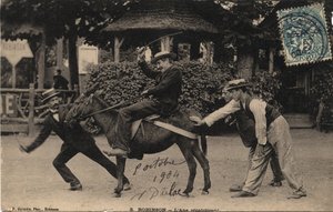 ロバのテツと不屈の精神 - 1904年のポストカード 作： Unbekannt