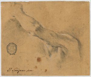 描画、研究-老人の左腕と体の隣接部分 作： Unbekannt