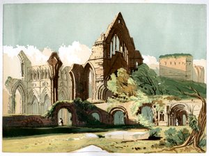 ドライバーグ修道院、c1850 作： Unbekannt