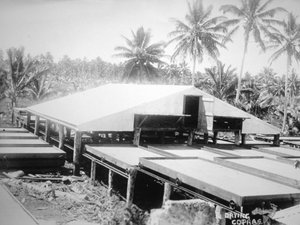 乾燥コプラ、ソロモン島、フィジー、1905 作： Unbekannt